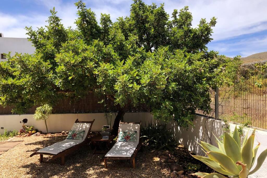 Casa Granado En Cabo De Gata Βίλα Rodalquilar Εξωτερικό φωτογραφία