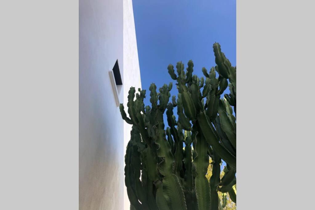 Casa Granado En Cabo De Gata Βίλα Rodalquilar Εξωτερικό φωτογραφία