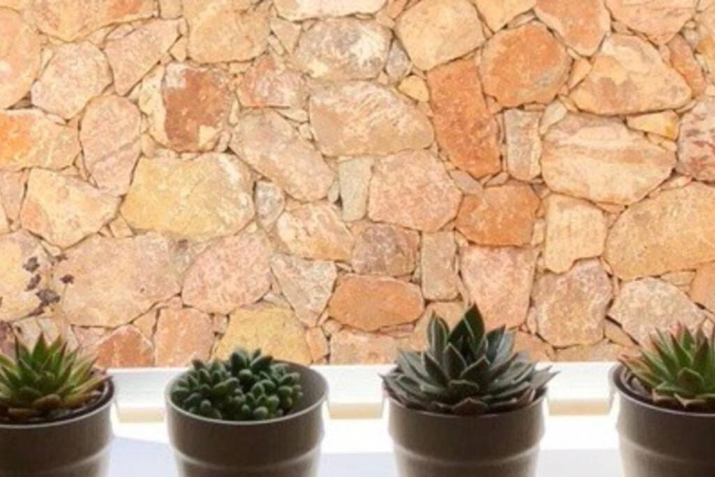 Casa Granado En Cabo De Gata Βίλα Rodalquilar Εξωτερικό φωτογραφία